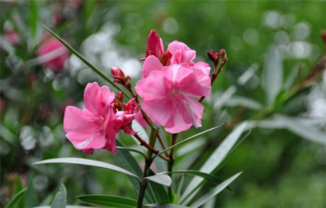 cd670c34b9e14245afd4f57c72c2b3a1.jpg cd670c34b9e14245afd4f57c72c2b3a1.jpg