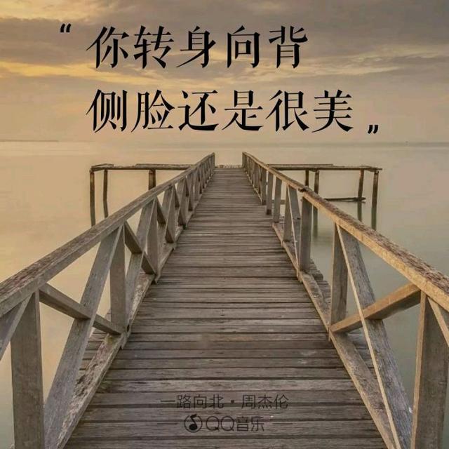 520“喜欢你”用周杰伦歌曲里的歌词怎么说?