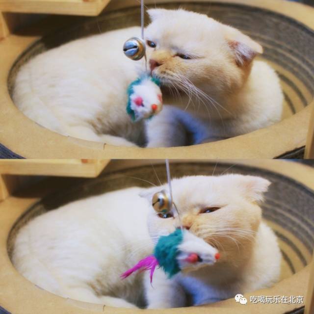 北京的这条宝藏胡同，太好吃了！