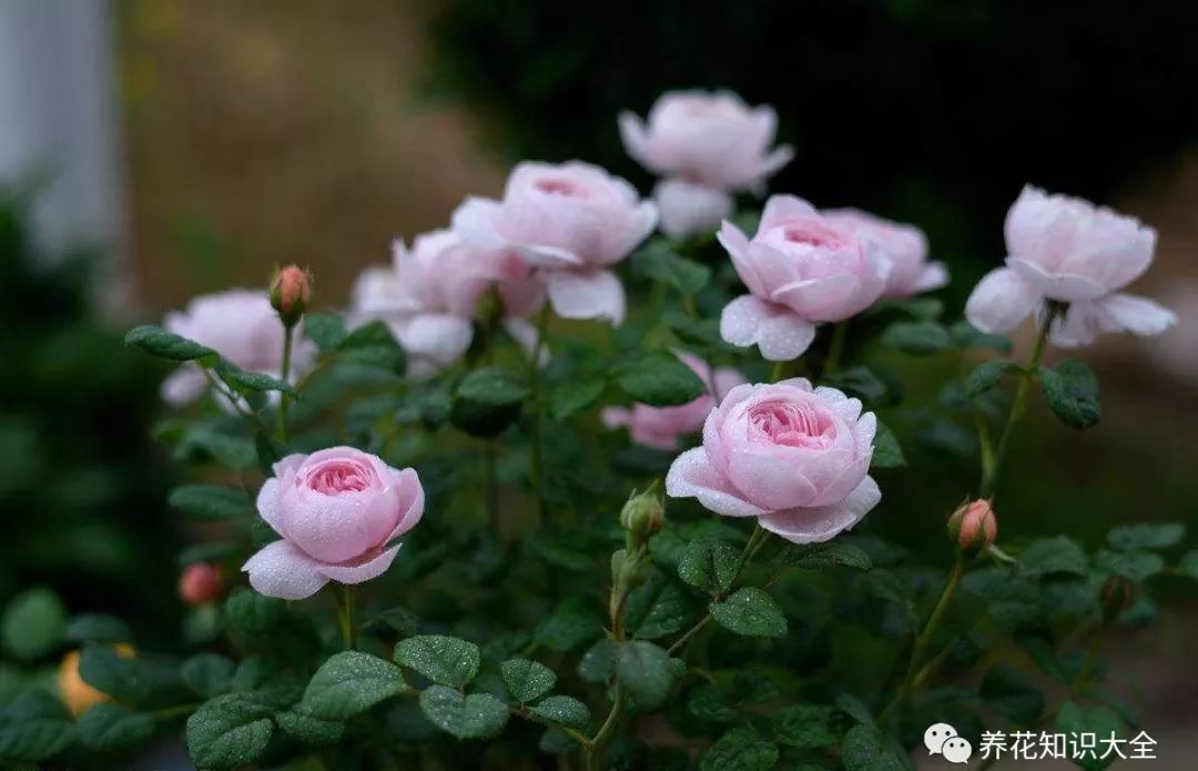 点击查看源网页