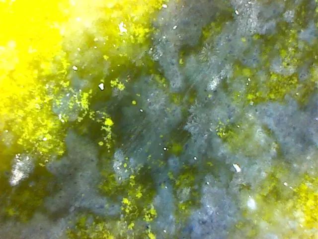 156、瓷器微观典型特征