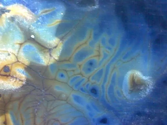 156、瓷器微观典型特征