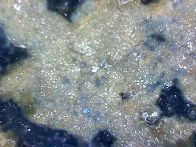 156、瓷器微观典型特征