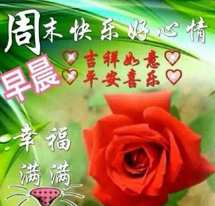 周末早上好问候祝福语短信大全,5月25日微信早上好问候表情图片