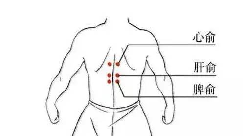 时间:30次 位置:心俞位于第五胸棘突下,左右旁开1.5寸.