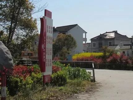 夏阳街道王仙村:笙磬同音,书写美丽乡村建设的华美篇章