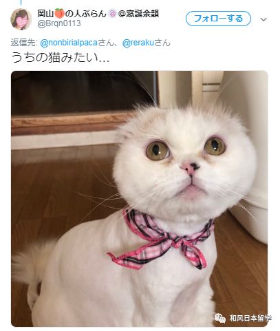 https://image.ipaiban.com/upload-ueditor-image-20190603-1559550305178095936.png