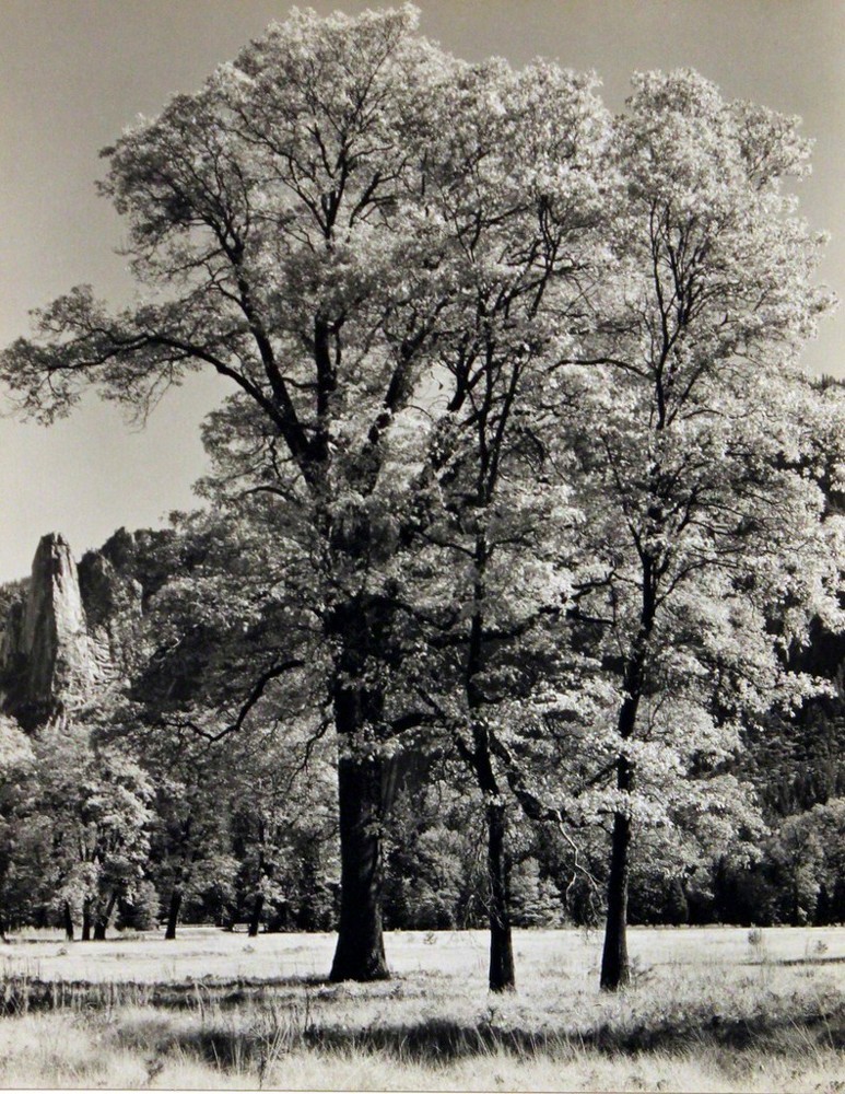 autumn yosemite 安塞尔亚当斯 1932年