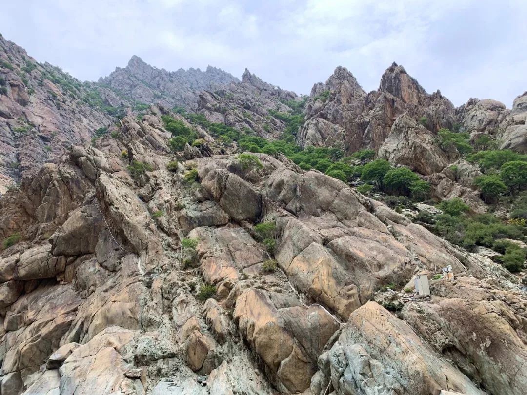 【下站去哪】这座挡不住蒙古铁骑的"鬼山",刻满了一万年前的画