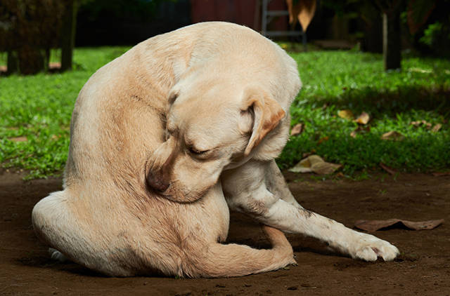 0a0ca19bbfa04a9d9502b807bf2165d0.jpg 0a0ca19bbfa04a9d9502b807bf2165d0.jpg