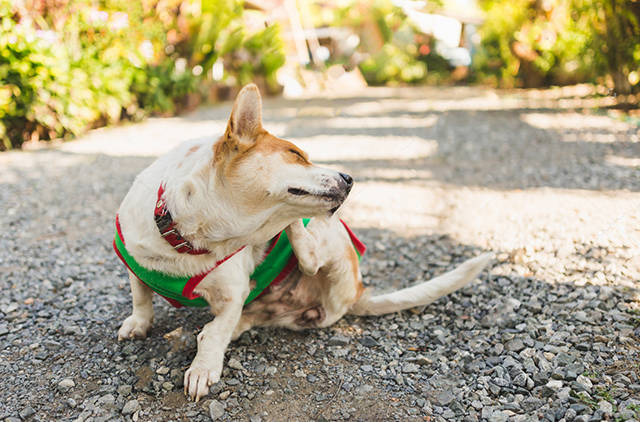 fc7d299b17bc4ddb88e68918cba38dc7.jpg fc7d299b17bc4ddb88e68918cba38dc7.jpg