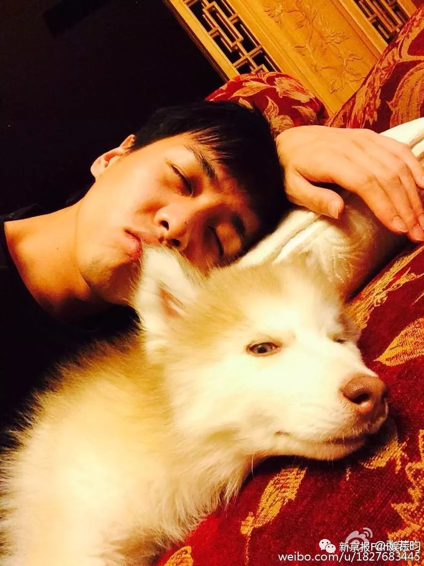 又甜又稳!他俩结婚算是万众期待的事儿吧?