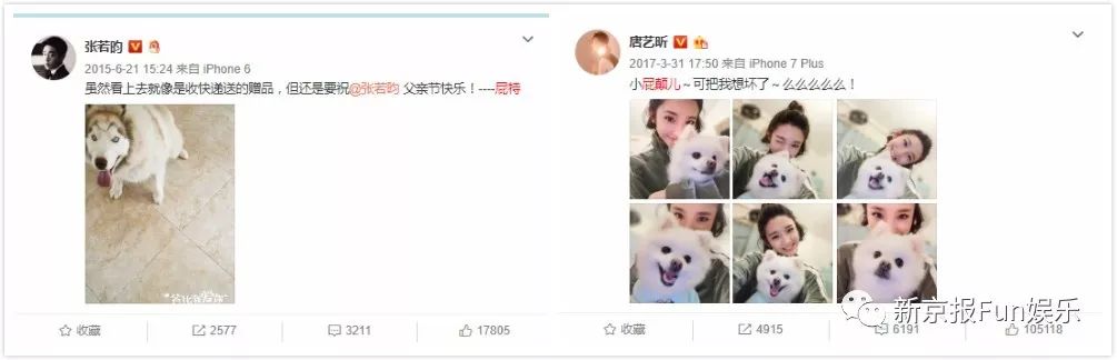 又甜又稳!他俩结婚算是万众期待的事儿吧?