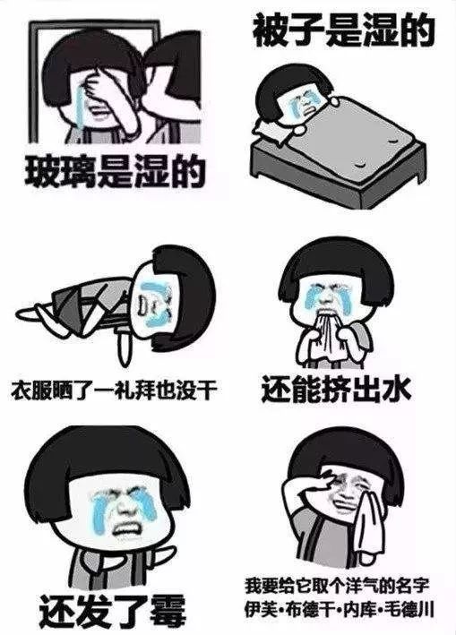 我已经展望到接下来一段时间大家的朋友圈