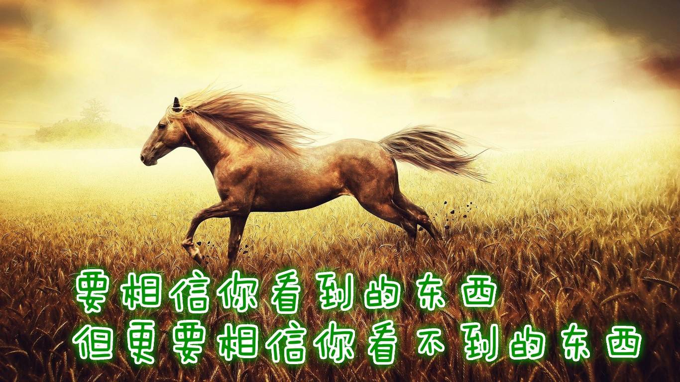 bb14907f3f8c44208b13473a102b9520.jpg bb14907f3f8c44208b13473a102b9520.jpg