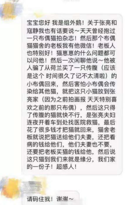 11岁天天抱猫照太温柔，张亮夫妇花一辆轿车钱只为救猫