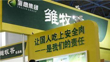 他靠200元发家创中国养猪第一股，今亏33亿猪被饿死，或将被终止上市