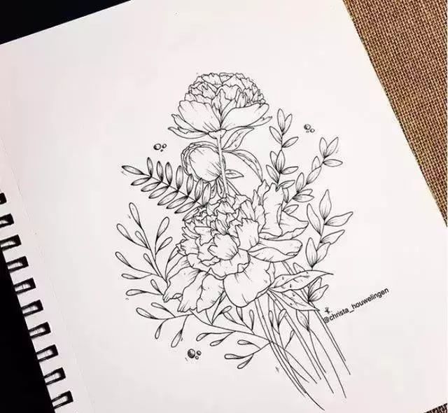 花卉线描工笔插画都能用得着