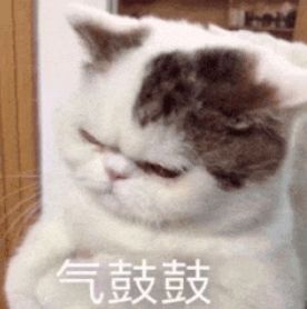 完蛋了！微信新出这功能，是要废我半条命啊……
