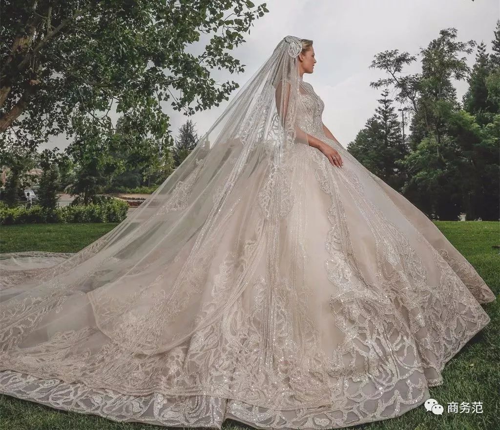 eliesaab婚纱,eliesaab高定婚纱 elie saab给儿媳妇做婚纱,用15万颗水晶,新娘戴卡地亚