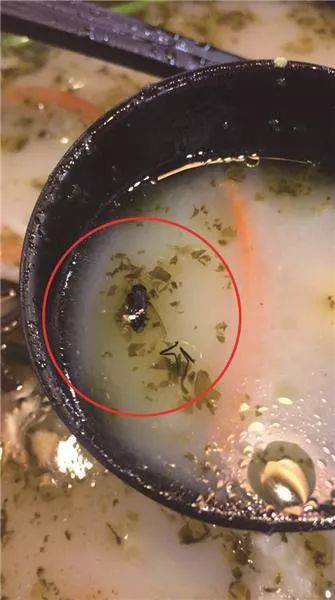 炸了!泰州这2家知名餐厅、零食店出问题了!竟