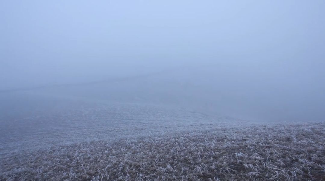 这部纪录片又把人看哭了