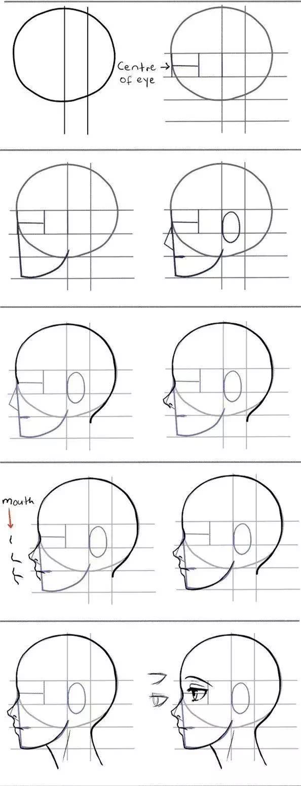 从侧脸的画法来看,更加直观