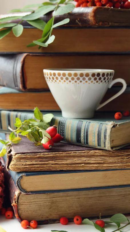 「诗词鉴赏」一卷诗书，一杯茶，品味那悠悠的诗韵！