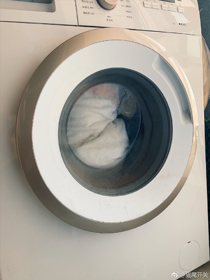 每日神段子丨积极废人，这个词简直为我而创造！