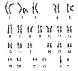 我们要抵制胡作非为的科学家