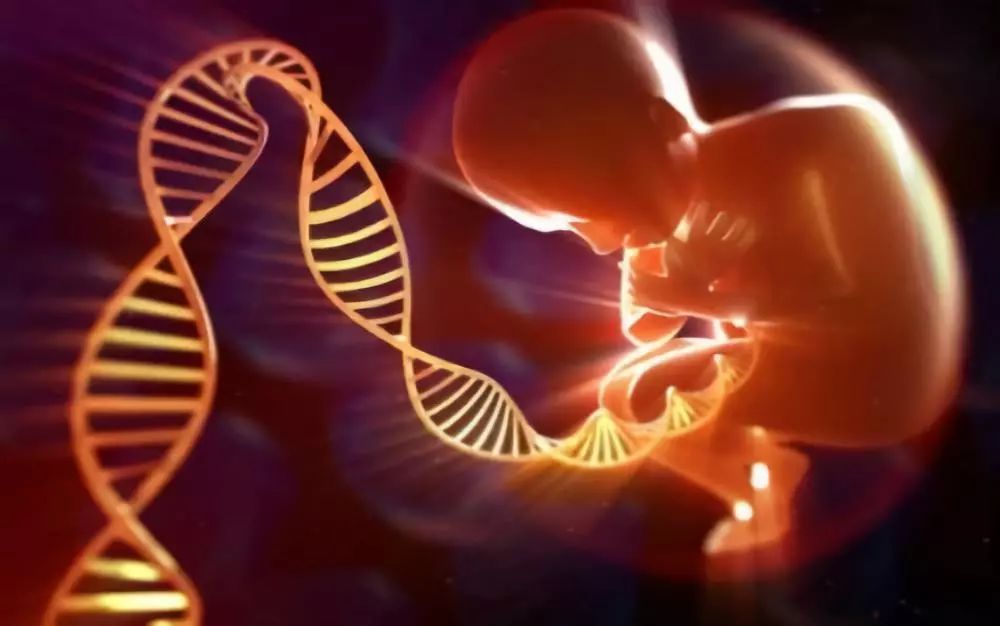 磅 世界首例基因编辑婴儿在中国诞生!122名科