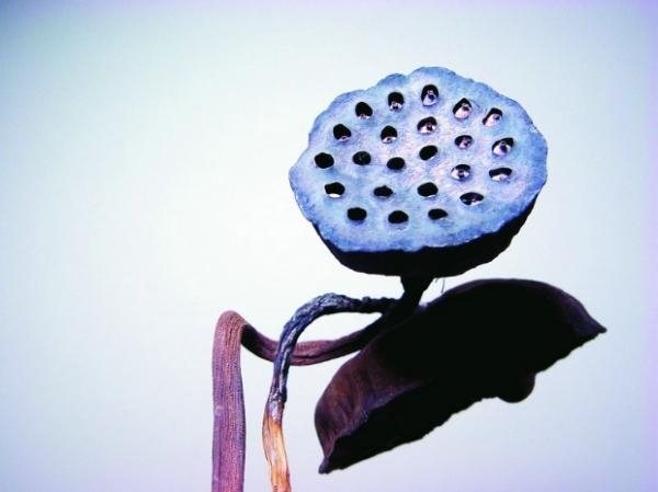 学习不佳,八字测子女学业事业运势