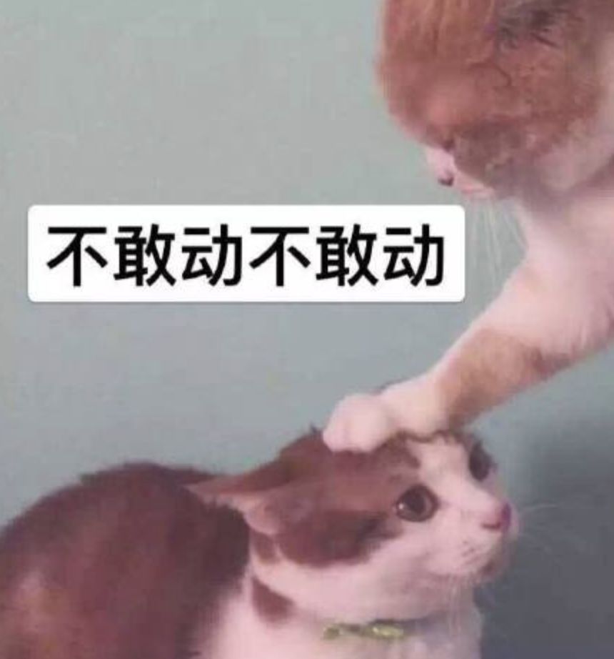 陈羽凡吸毒被抓扯出和白百何互殴狗血剧，去年打狗仔时还说自己能贩D！