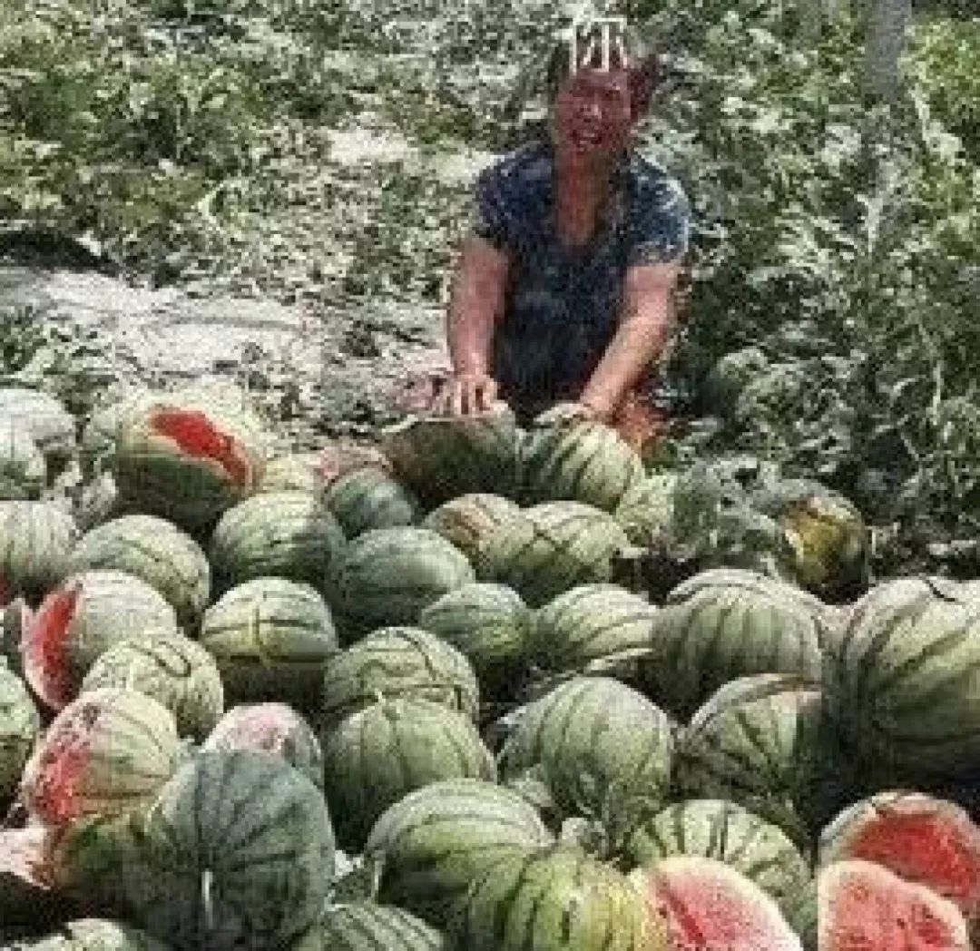 陈羽凡吸毒被抓扯出和白百何互殴狗血剧，去年打狗仔时还说自己能贩D！