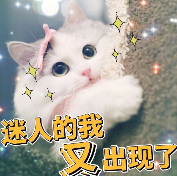 比价值3000万莫文蔚的腿还贵，这位“中国腿精”的腿价值一个亿？