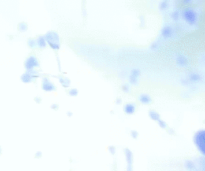 比同龄人老怎么办？
