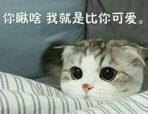 无修图的娜扎和韩国第一美人撞衫同框，依然吊打？