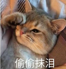 27岁年入1.5亿入选福布斯的网红，每天给自己换鼻子是什么操作？