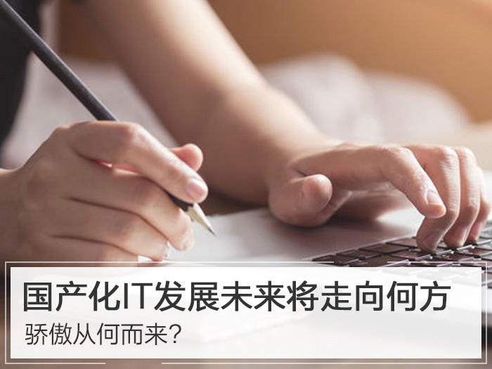 骄傲从何而来?国产化IT发展未来将走向何方