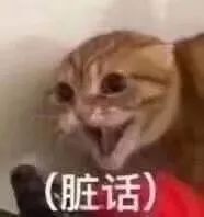 开房不开灯，网恋真刺激