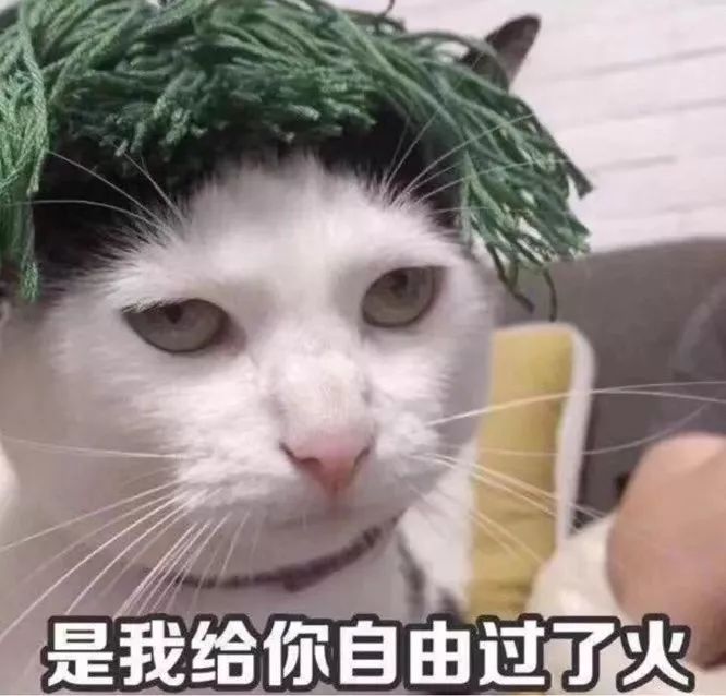 父亲21年与儿子坚持嘴对嘴亲，这么奇葩的事都有？