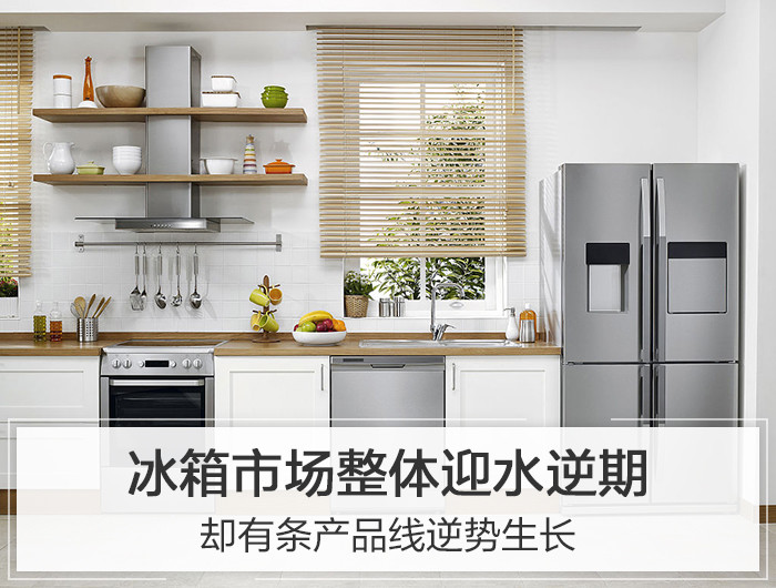 冰箱市场整体迎水逆期 却有条产品线逆势生长