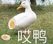 无所不能的冻干粉，究竟是护肤新希望还是又一个爆款骗局？