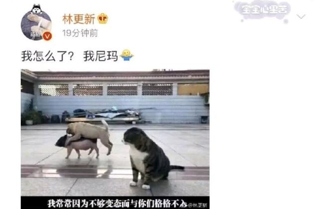 胡兵力挺胡歌！直言娜扎俞灏明等人盲目转发没文化，害苦胡歌！