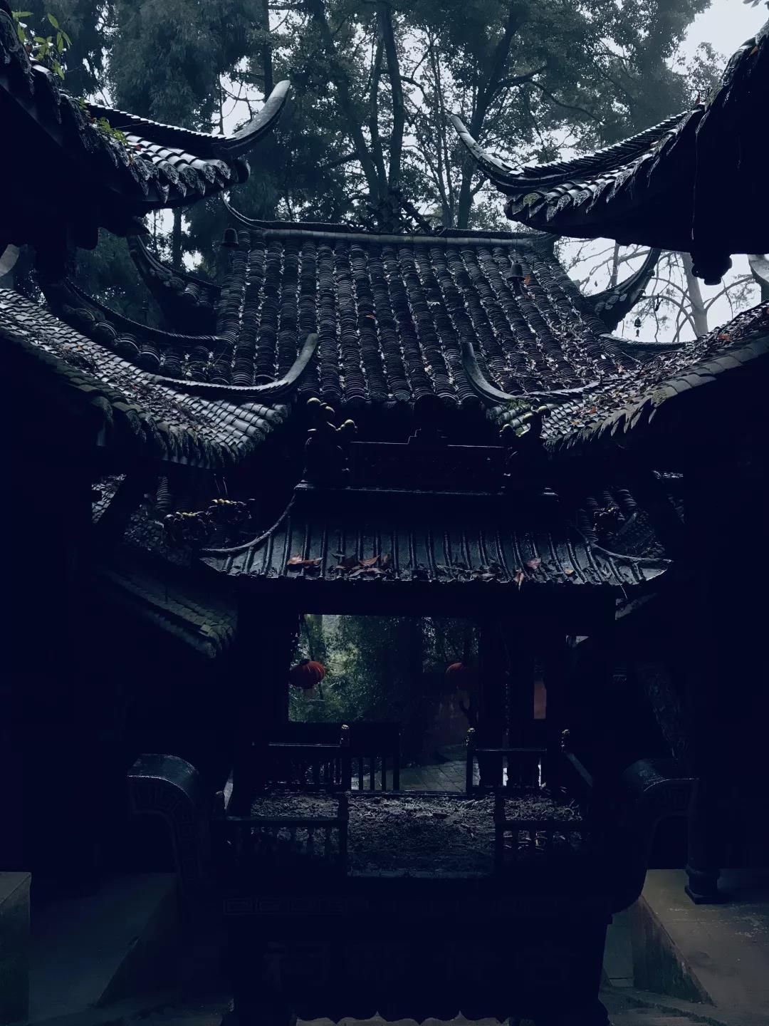 乱逛 如果下雪，我就想跑进青城山的迷雾