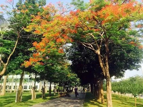 重磅!2018年广东21地市平均工资排行榜出炉,看