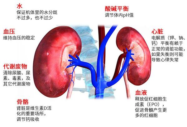 慢性肾病不想发展为尿毒症,预防你需要这样做_凤凰网