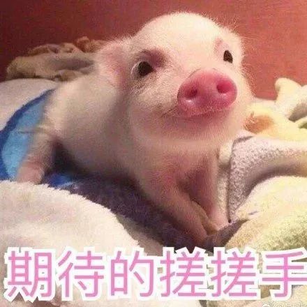 不到300块！这些不输卡地亚、宝格丽的平价手表真的美哭了...