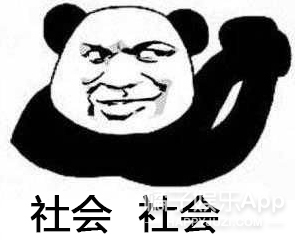 这届明星过冬超认真！