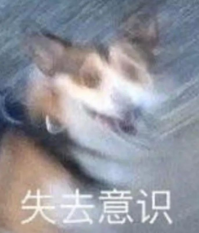 网红残次品，这都是些什么垃圾啊